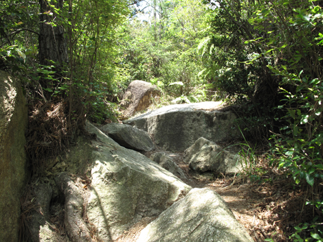 20140602hike (97)